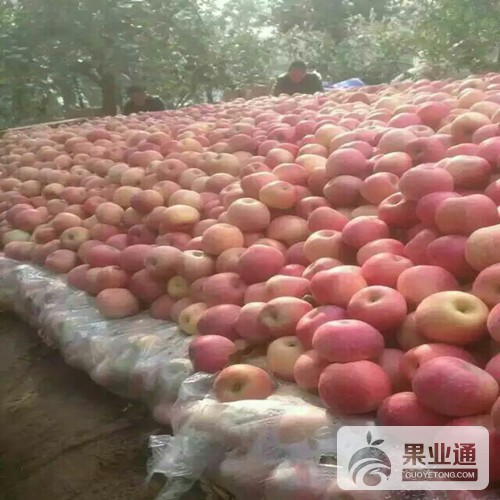 1447663522509_1447462329125_mmexport1447460024137_副本.jpg