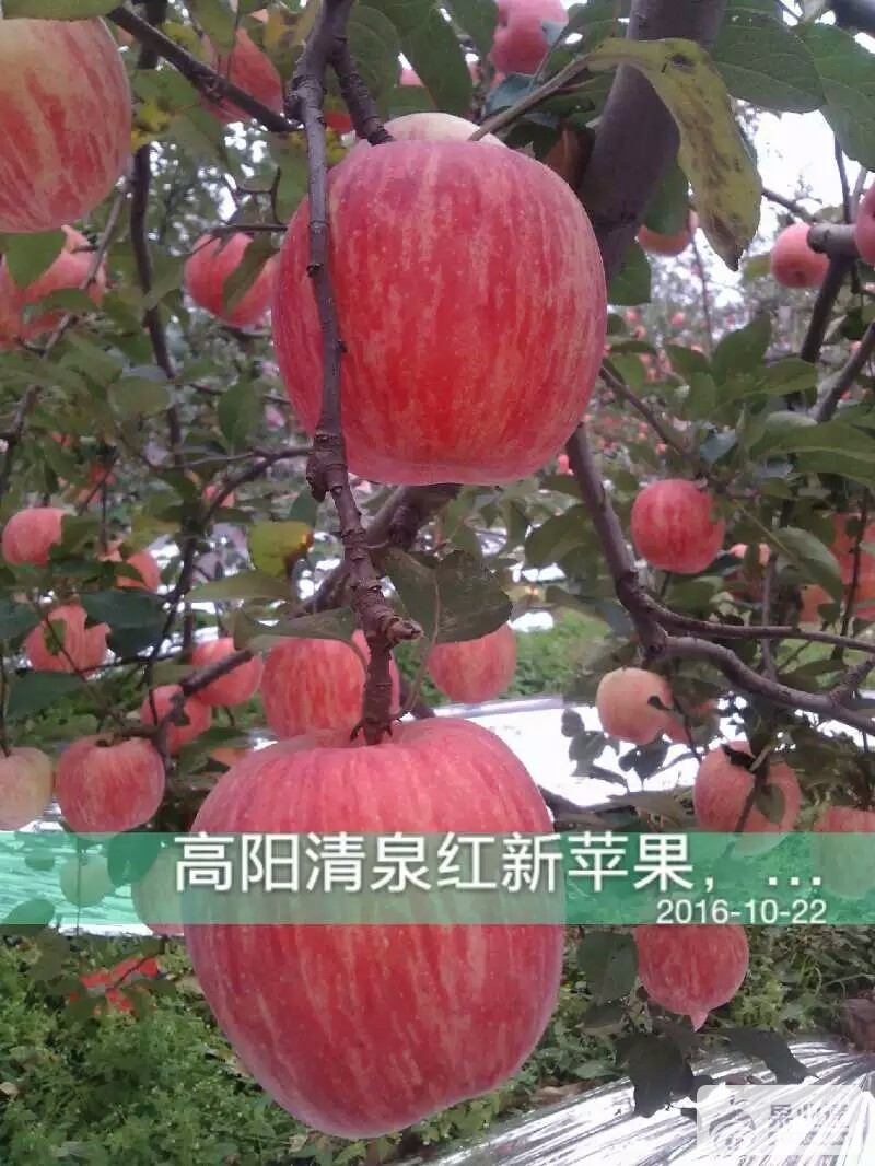 1482067267104.jpeg