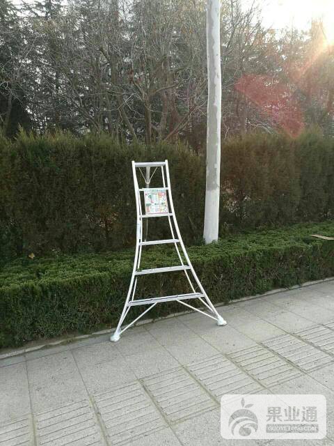 111001vlctj79mxzz9mi0l.jpg