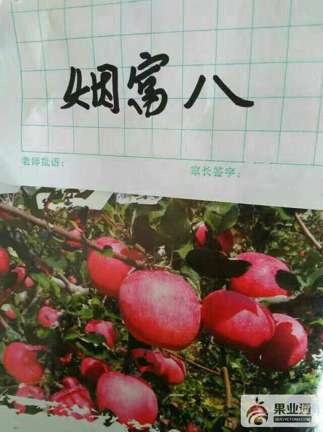 074114ptryeyzxrmmlsetj.jpg