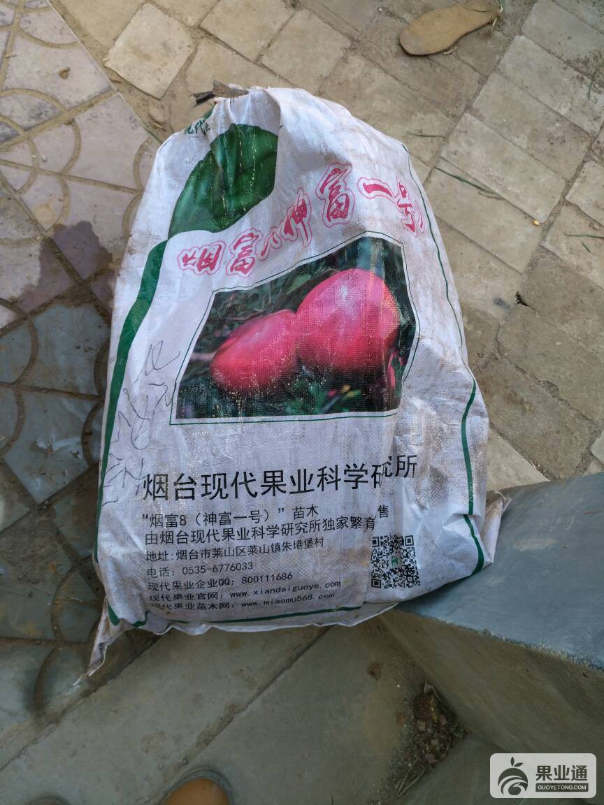 221340h10lnhwsw7zhi9ym.jpg