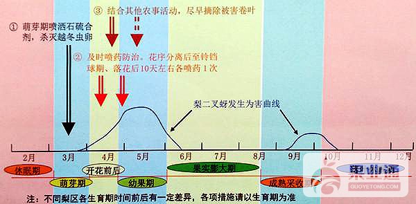 图片10.jpg