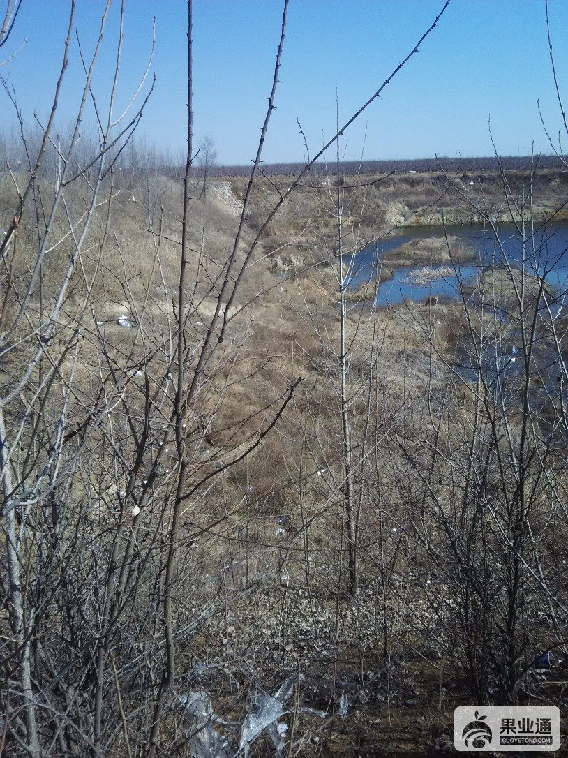 IMG_20170308_131504.jpg