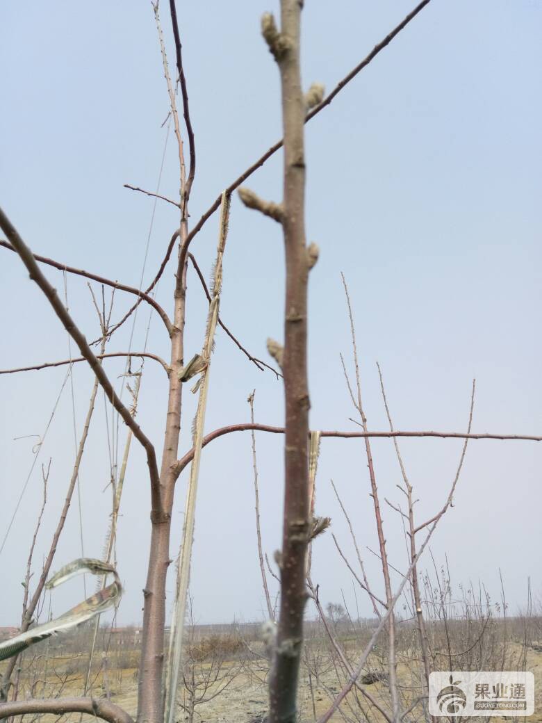 040128ckqzr5ixxpasrzq9.jpg