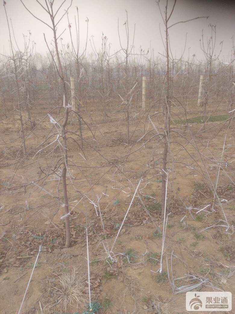 115110dam0ptykp82ptapm.jpg