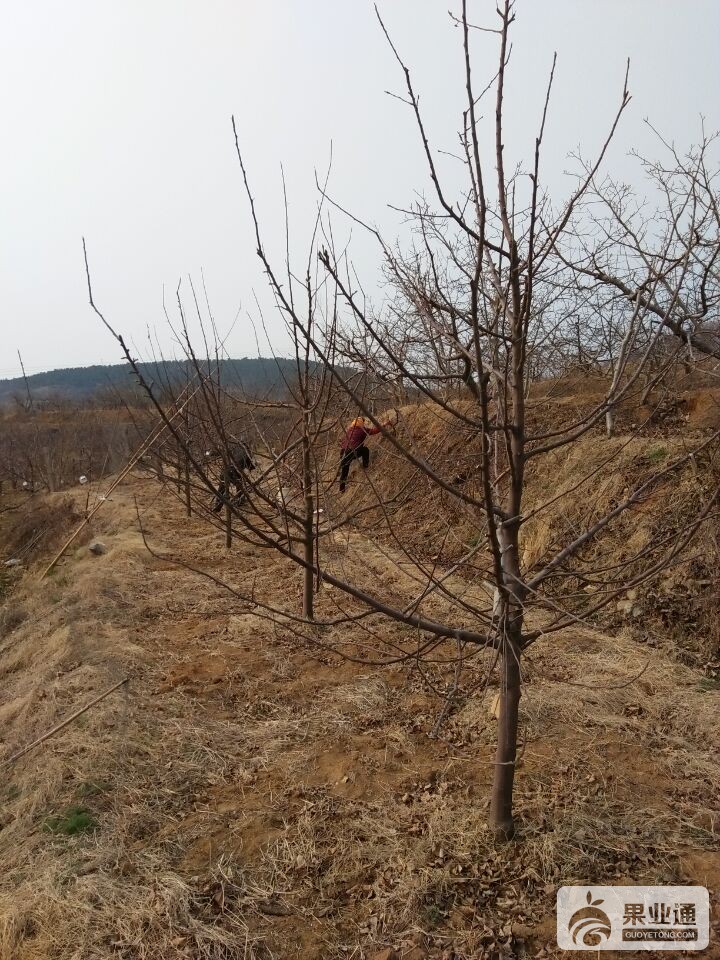 QQ图片20170318115631.jpg