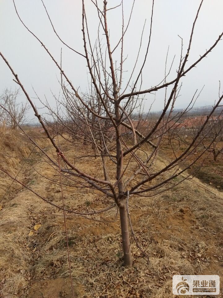 QQ图片20170318115659.jpg