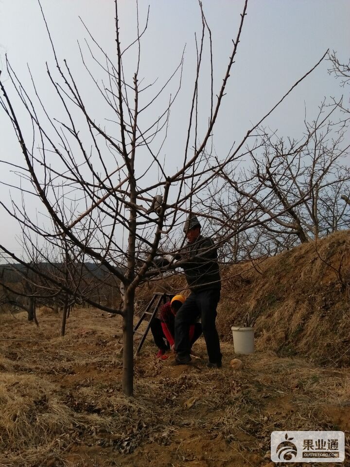 QQ图片20170318115712.jpg