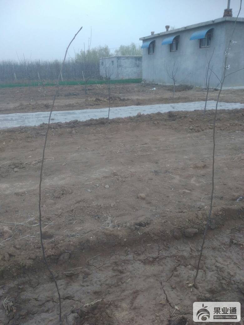 212404jmqpeu2ecukcm73p.jpg