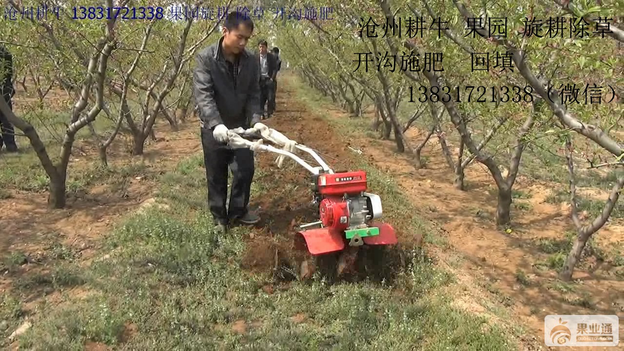 果园开沟施肥