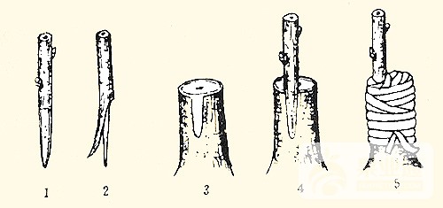 200904270000420001.jpg