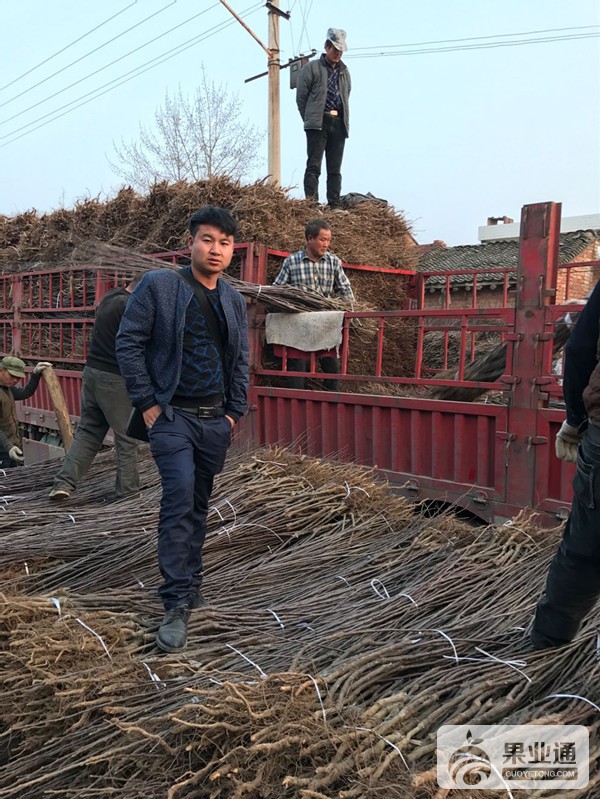 QQ图片20170322141124_副本.jpg