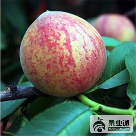 5538f909N8b80a831.jpg