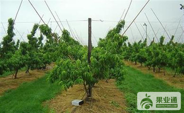 t01507a6d1f41cafa50.jpg