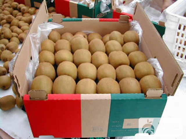 200735557_206845.jpg