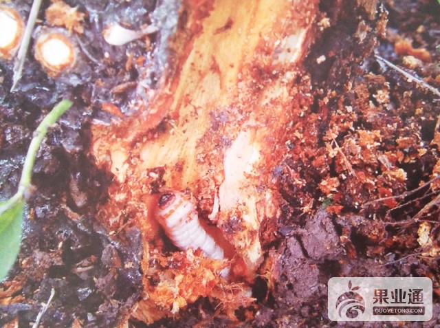 IMG20170326162612.jpg