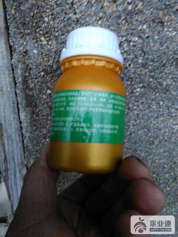 120106lmkmykhmlvuffvh4.jpg