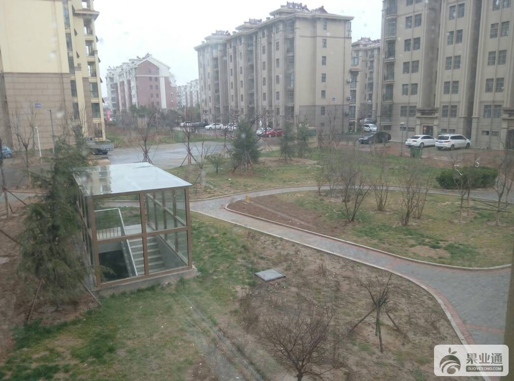 122130iiucuc9sc8u9i7zr.jpg
