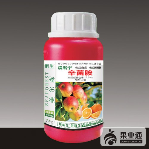 溃腐宁.jpg