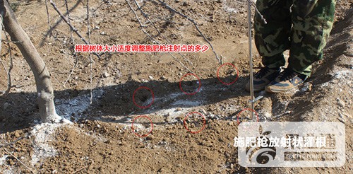 liangyefa2.jpg