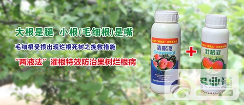 liangyefa3.jpg