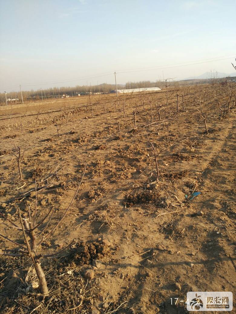 213016znuj6e7b2m000awx.jpg