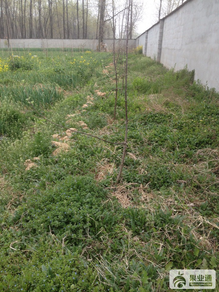 201057h1118qlutxe1dxrd.jpg