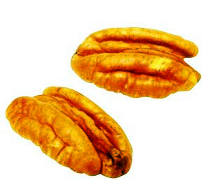 波尼-果仁.jpg