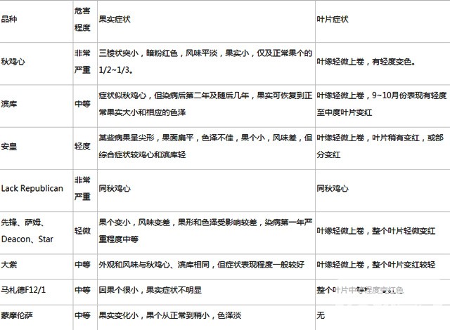 QQ截图20170405163131.jpg