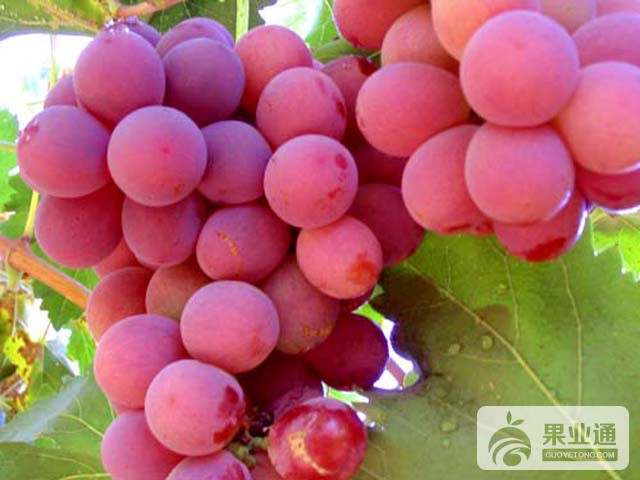 bk_24f7319cad201ac5ed556c3ca0a313fd_rq3iR0.jpg