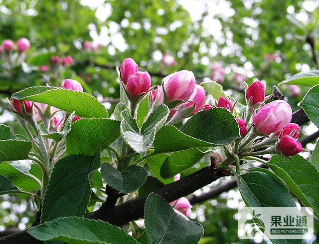 20120523151720.jpg