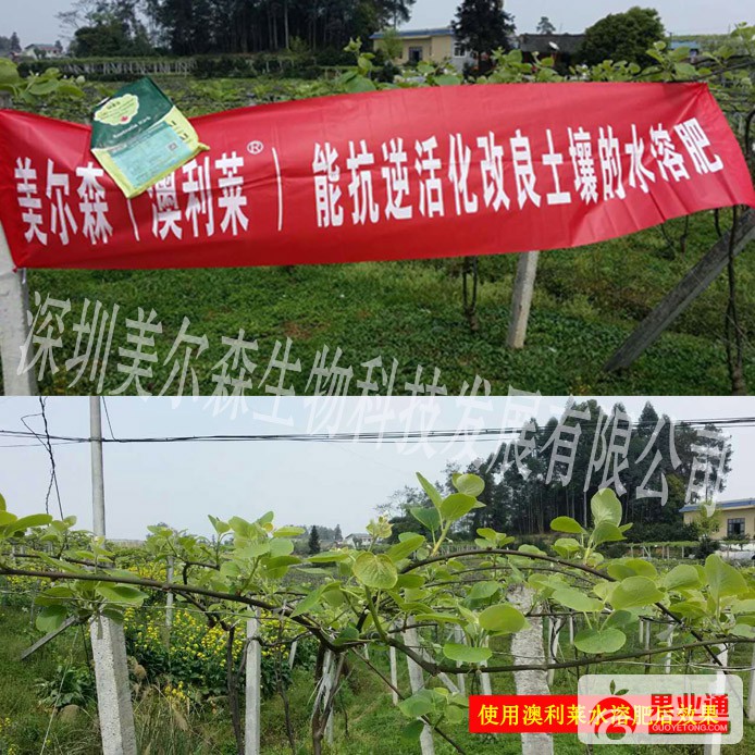 水溶肥.jpg