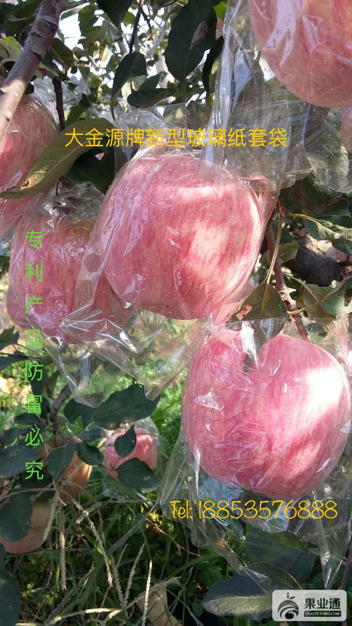 实景拍摄袋内上色