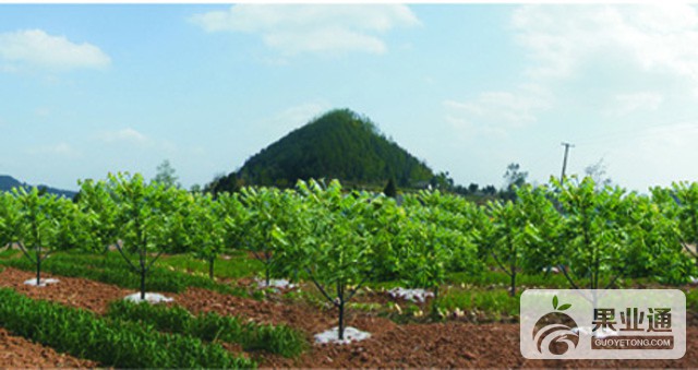 2012070516024108.jpg