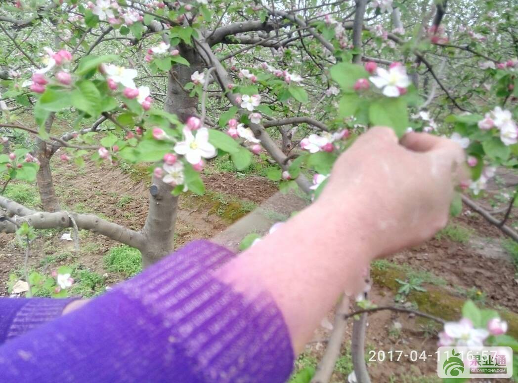 212956n1j9yyzq014hdekb.jpg