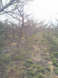 2345_image_file_copy_6.jpg