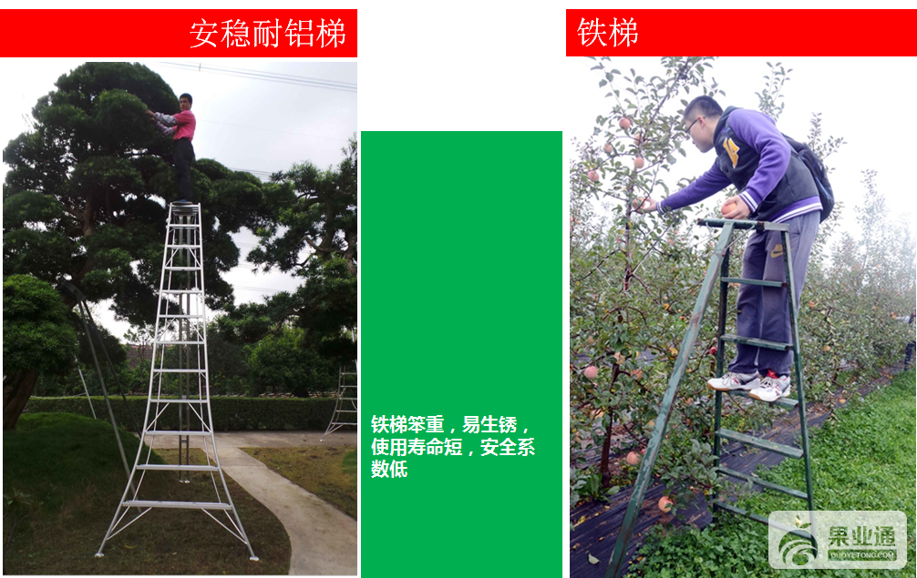 QQ图片20170325110459.png