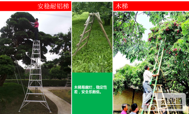 QQ图片20170413091724.png