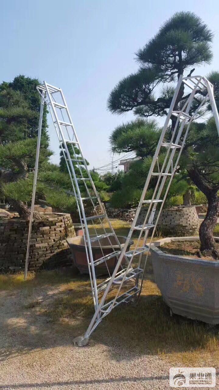 微信图片_20170413092355.jpg