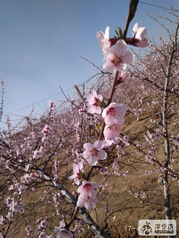 QQ图片20170412151847.jpg
