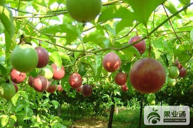 20110817082729881.jpg