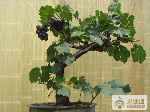 QQ截图20170414141805.png