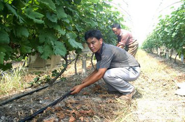 t015b896074e90095d6.jpg