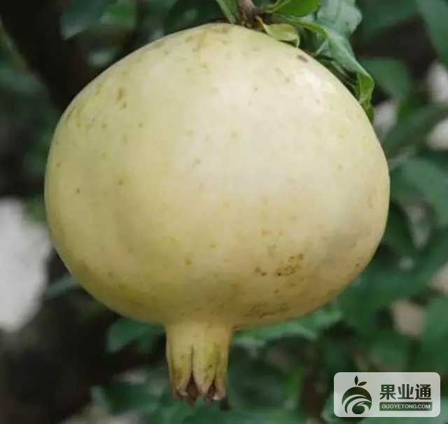 640.webp (9).jpg