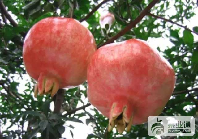 640.webp (13).jpg