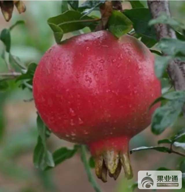 640.webp (16).jpg