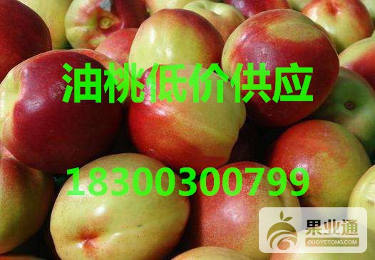 16_看图王.jpg