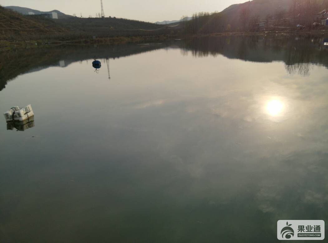 124800j19ap9moulo33sfc.jpg