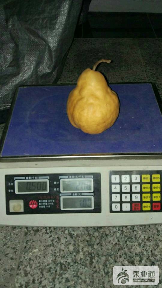 045902g6ce4eazwwabcpj9.jpg