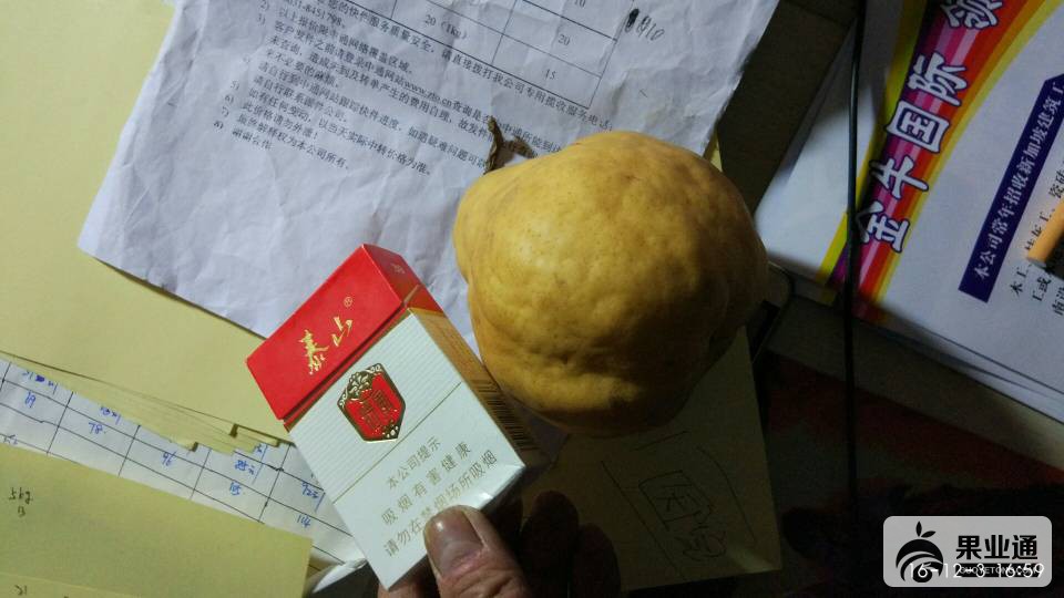 045907g94kffhff49mzdku.jpg